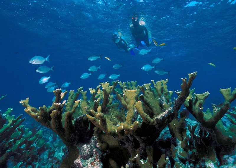 Ecoturismo en Varadero
