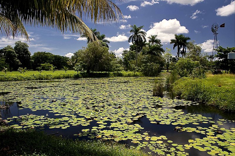 Laguna del Tesoro