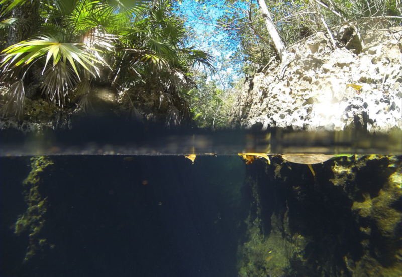 Cueva de los Peces, en la Ciénaga de Zapata