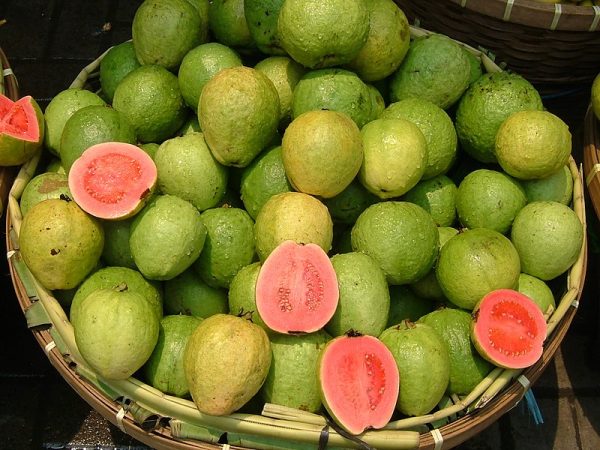 Guayaba