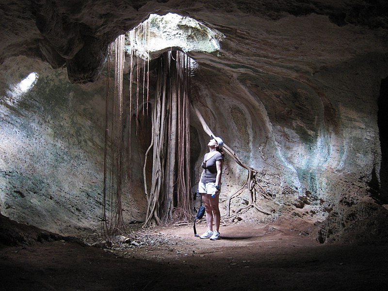 Cuevas de Ambrosio