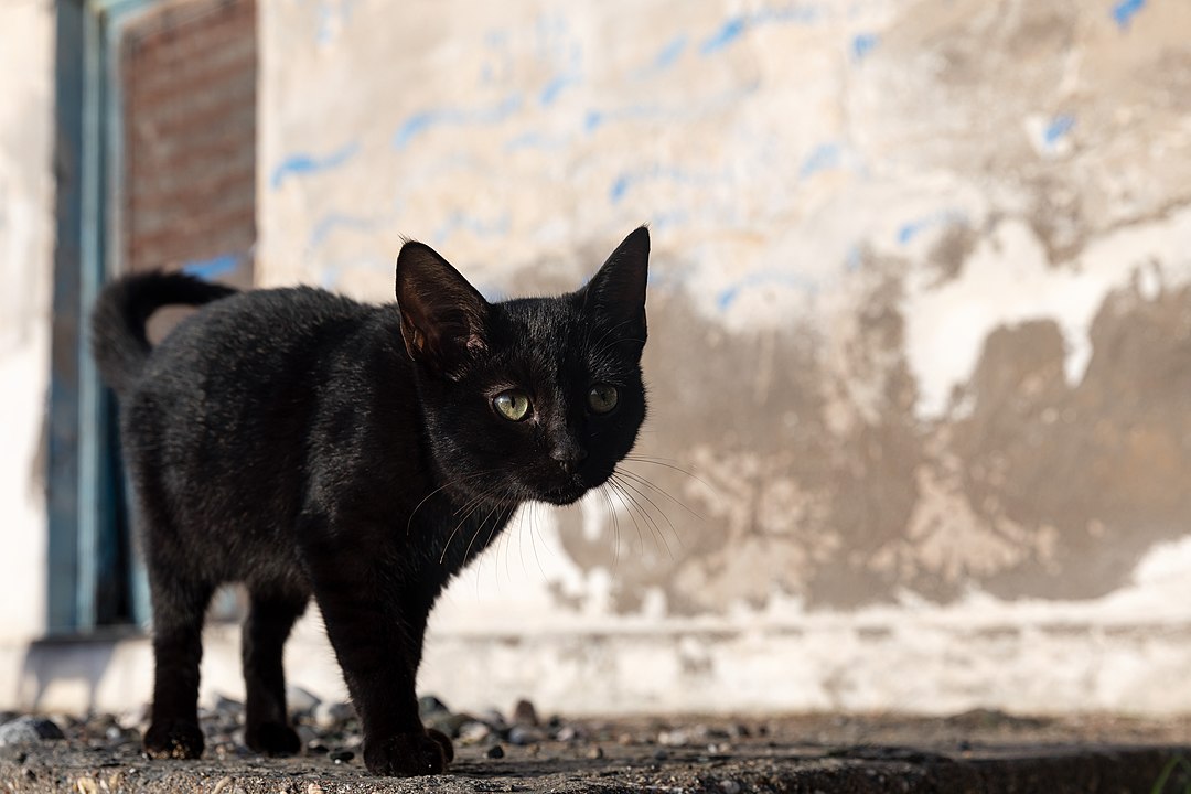 supersticiones cubanas