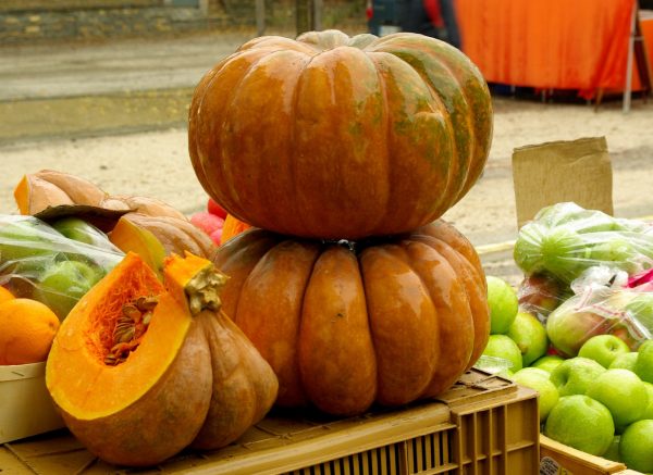 Calabaza
