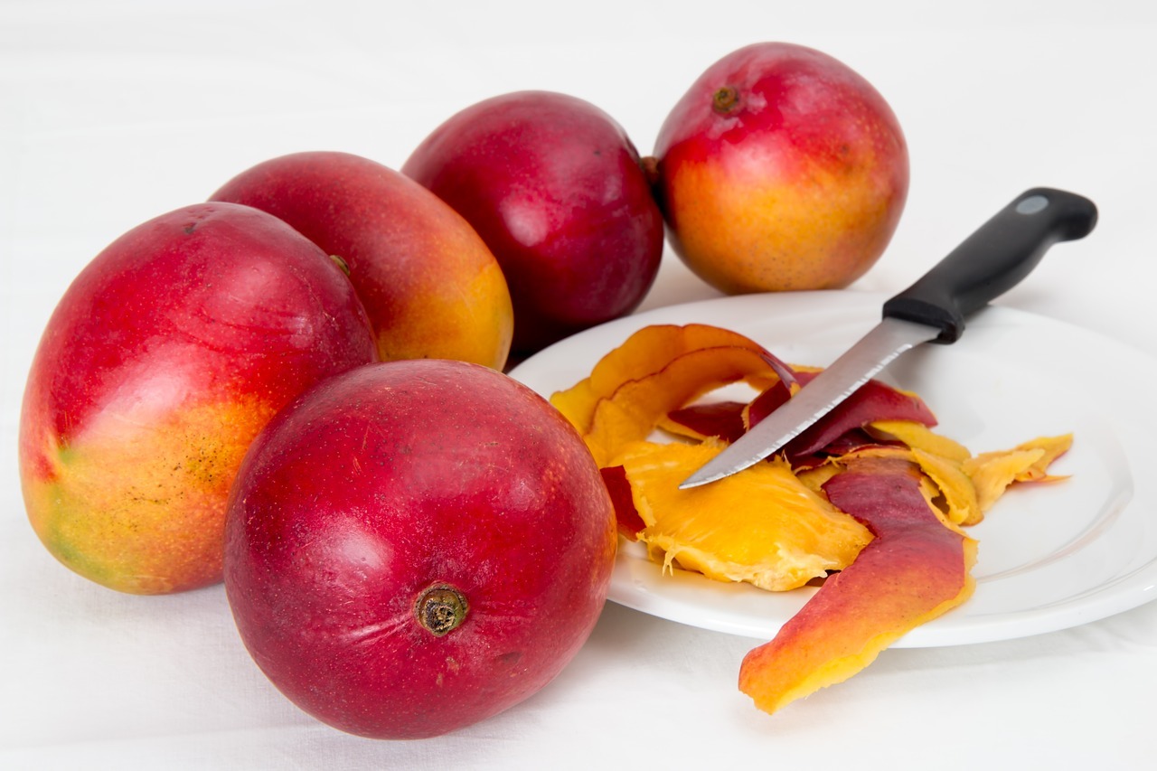 Los primeros mangos de Cuba se sembraron en La Habana