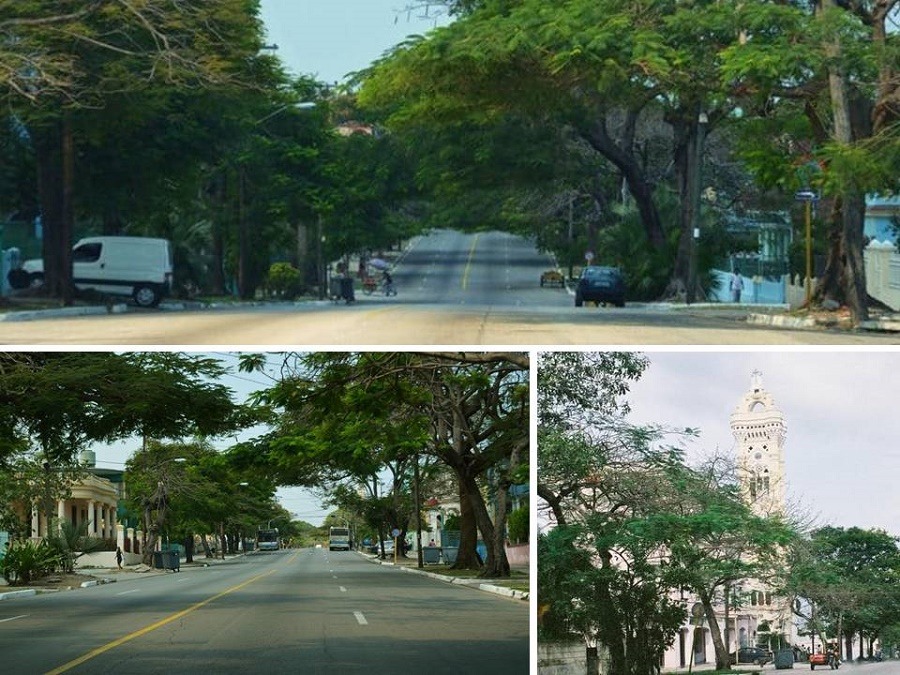 Avenida Santa Catalina