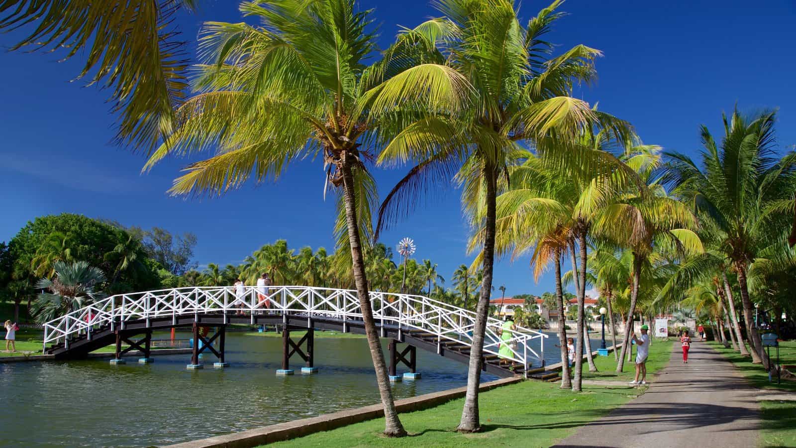 Parque Josone de Varadero un paraíso verde en medio del azul del mar