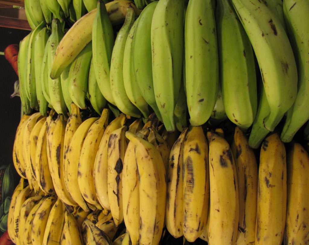 Plátano cubano