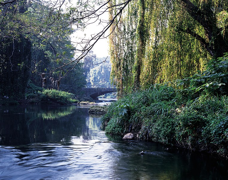 El río cubano Almendares