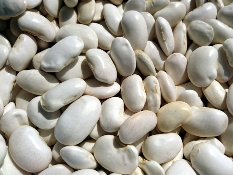 alubias blancas