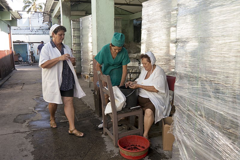 Trabajadoras de la fábrica de Guayabita del Pinar