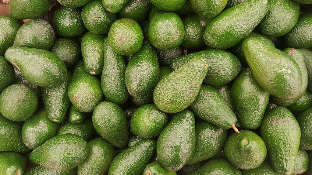Aguacate cubano