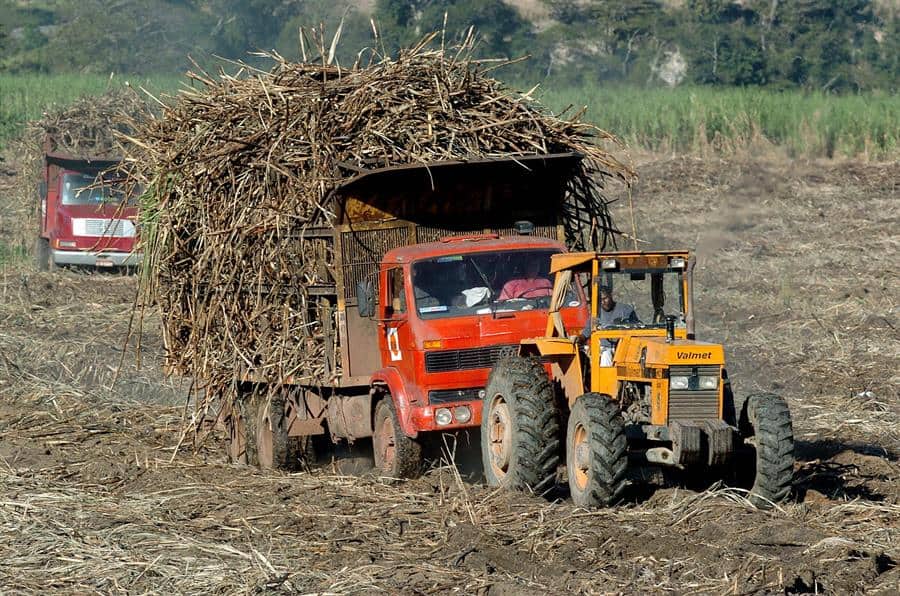 Cuba prueba su primera planta bioeléctrica tras sincronizarla al sistema energético