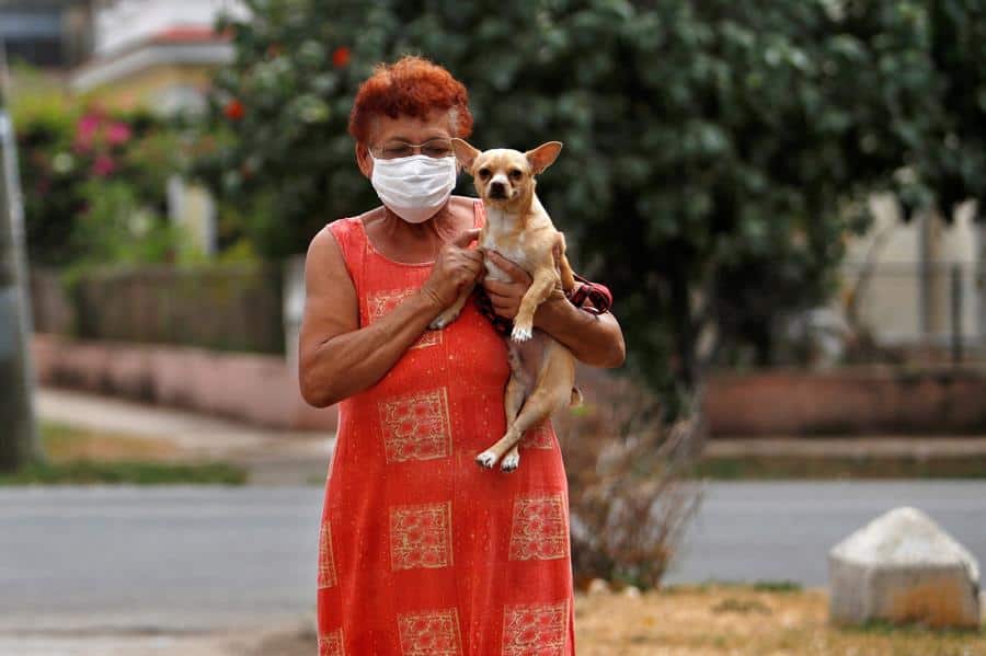 Cuba aprobará política sobre bienestar animal