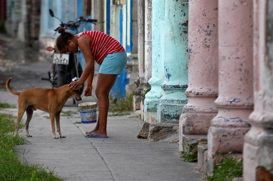 Una mujer alimenta a un perro callejero en La Habana