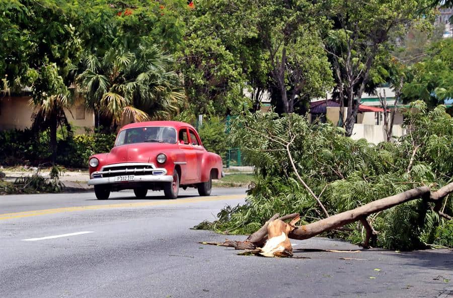 Un auto pasa junto a un árbol caído tras la tormenta tropical Laura