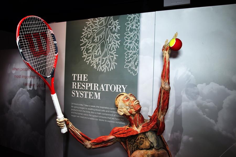 Bodies, la exhibición de cuerpos humanos que ahora incluye efectos del coronavirus
